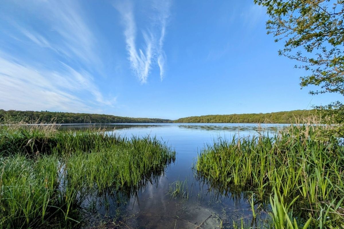 Etang de la Hardouinais, Saint-Launeuc