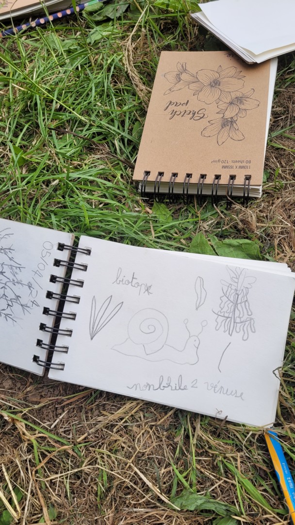 visite simple de jardins dessin botanique