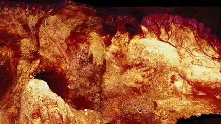 04-cave-art-neanderthals.adapt_.1900.1