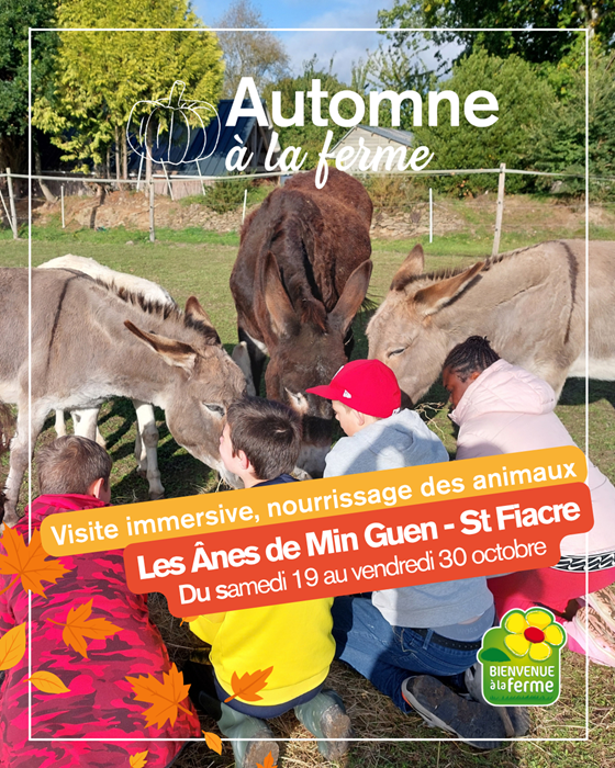 22 - 2026 Les ânes de Min guen - 1