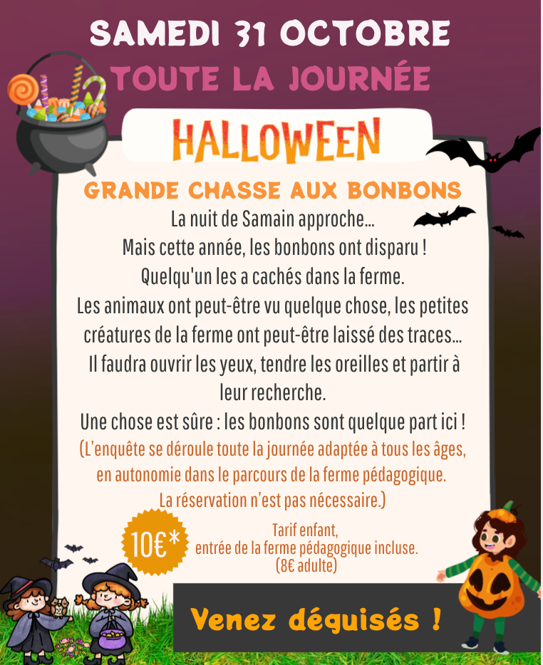 Grande chasse aux bonbons