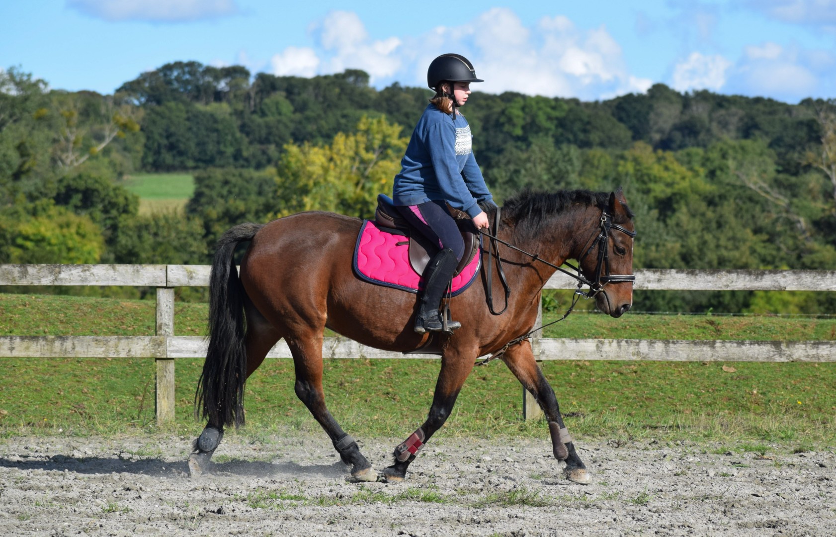 Stage de cheval