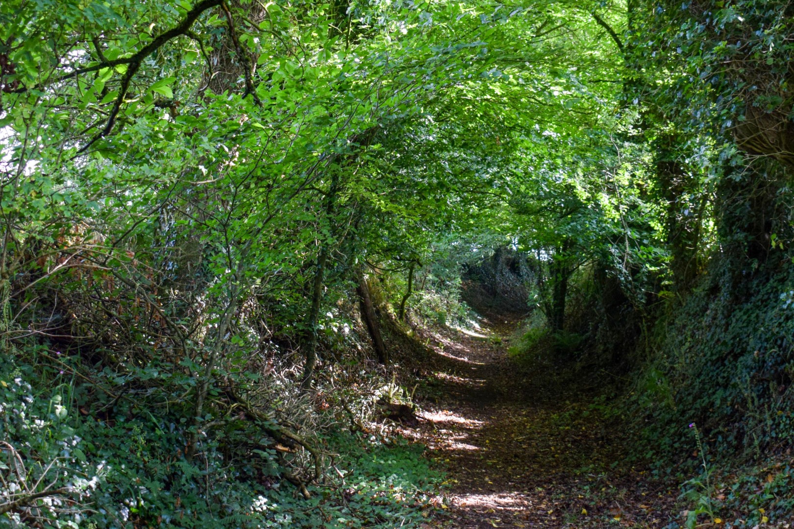 chemin