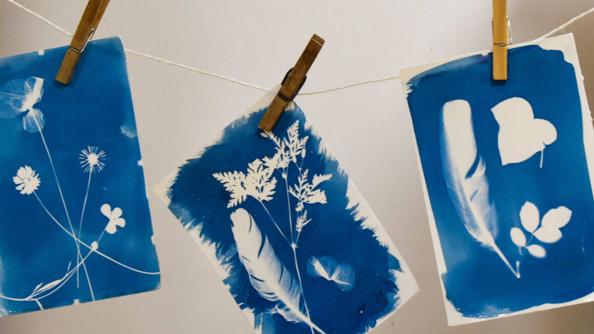 cyanotype