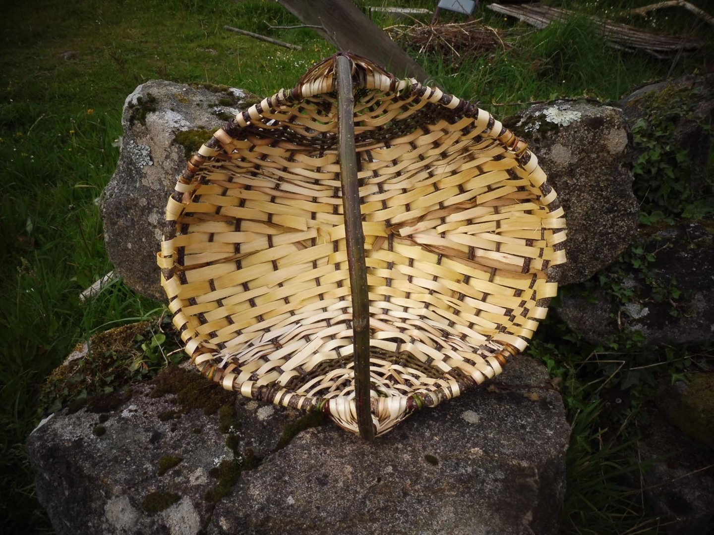 Dans un panier neuf - Atelier Vannerie Sauvage
