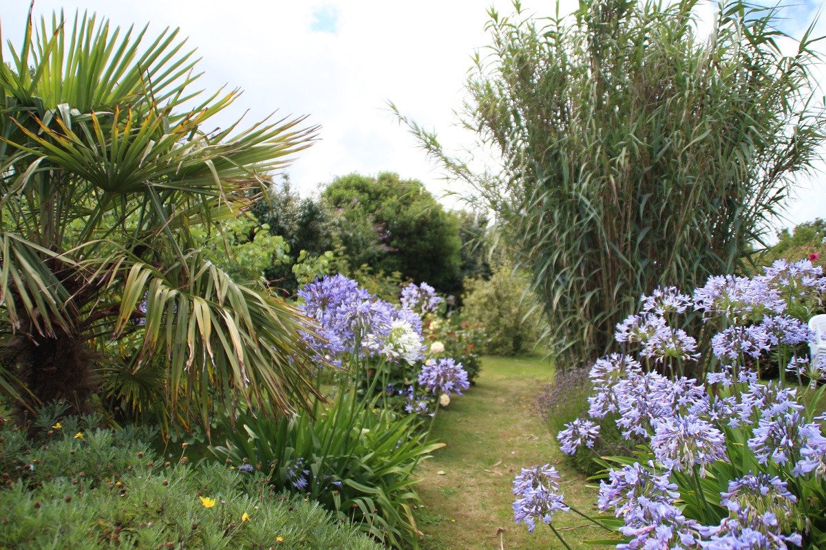 jardin