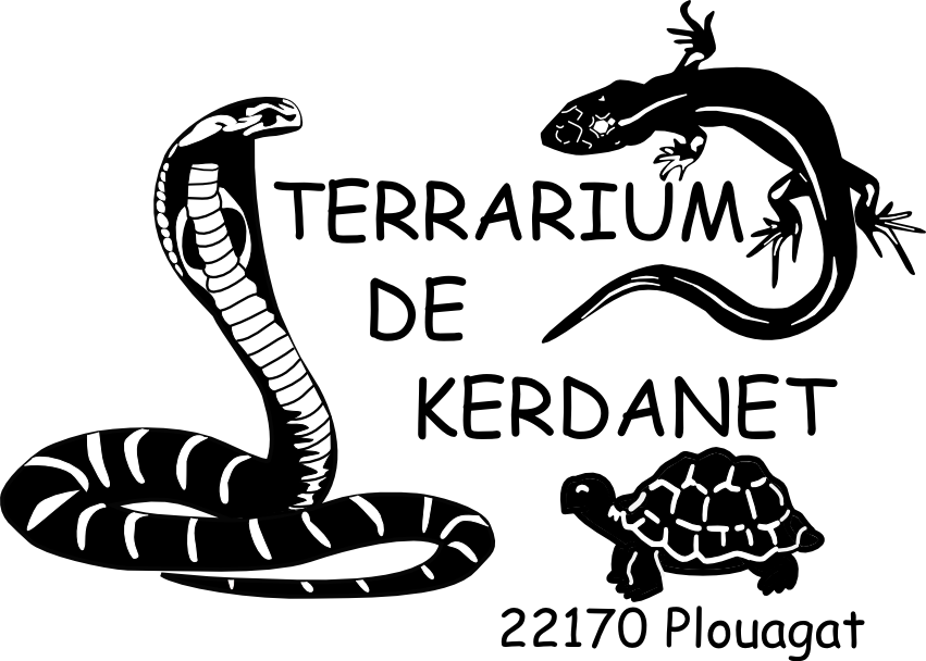 LOGO + plouagat