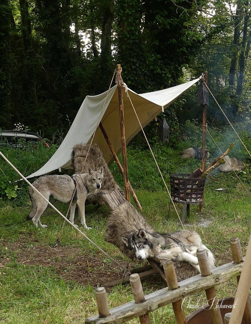 Loups Noël