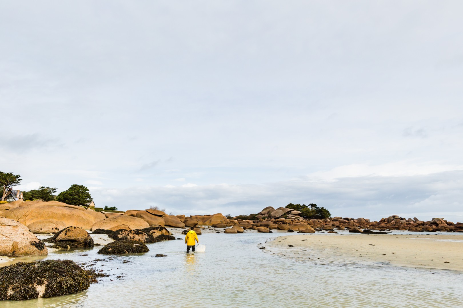 Plage à marée basse