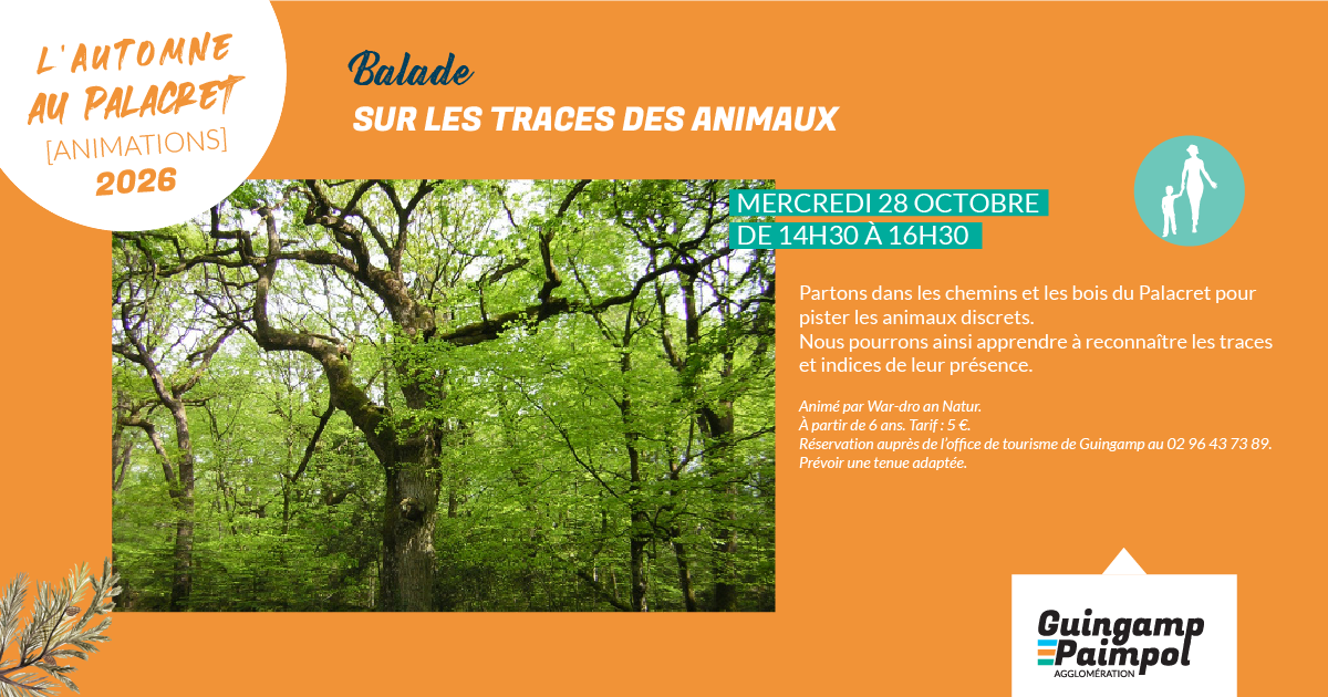 Sur les traces des animaux