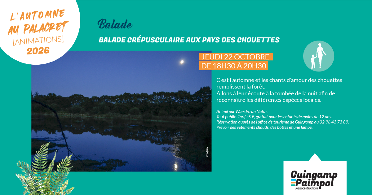 Balade crépusculaire au pays des chouettes