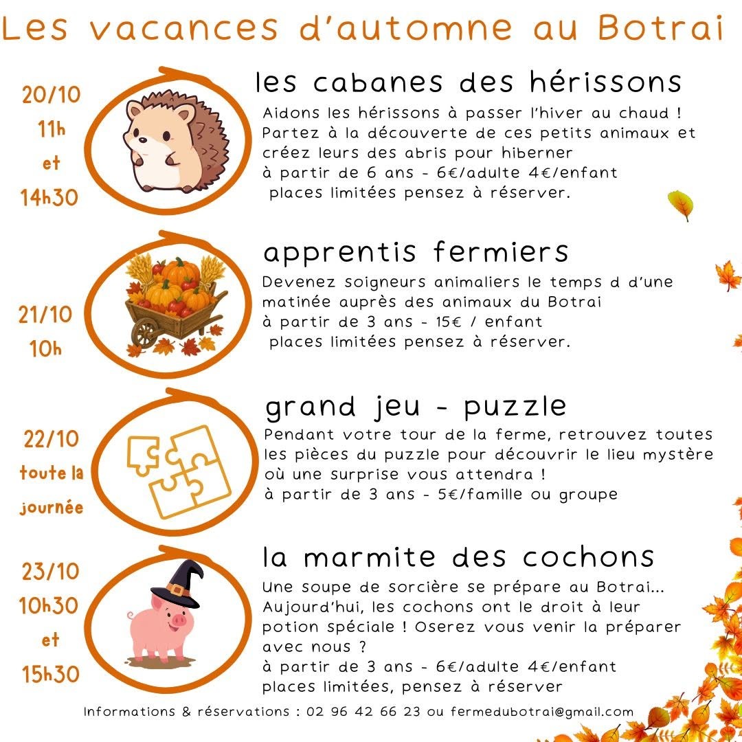 animations botrai.1