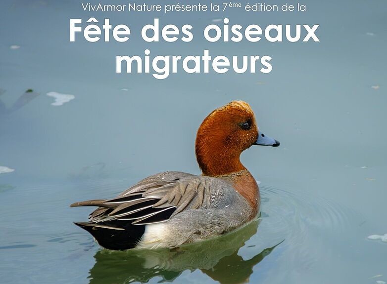 csm_Affiche_2026_2d1eef09c1