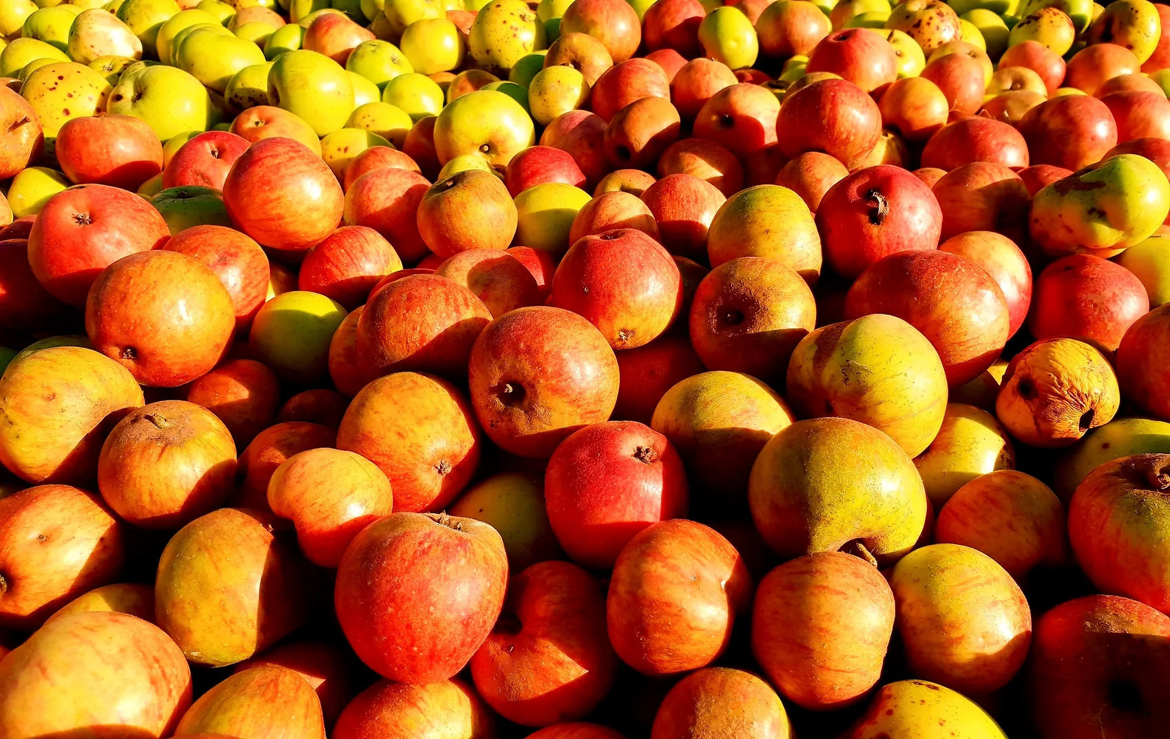 pommes