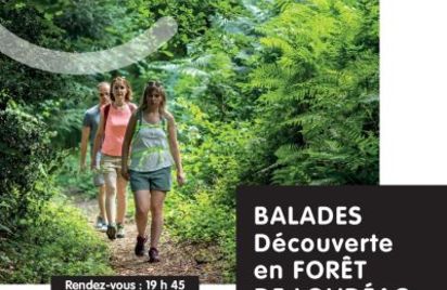 Balade découverte en forêt de Loudéac