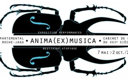 Exposition Anima (ex) Musica, Cabinet de curiosité du XXIème siècle