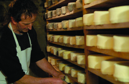 Visite guidée de la Fromagerie du Vaumadeuc: du sarrasin au fromage