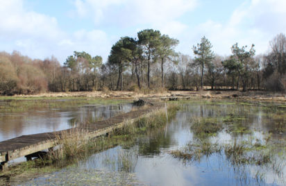 Le Marais de Magoar Penvern - Réserve naturelle
