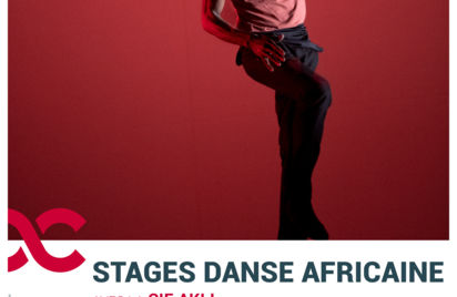 Stage de danse africaine avec Boureima Kienou