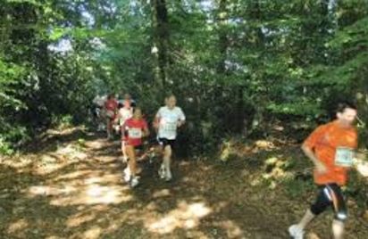 Trail de la Forêt de Loudéac