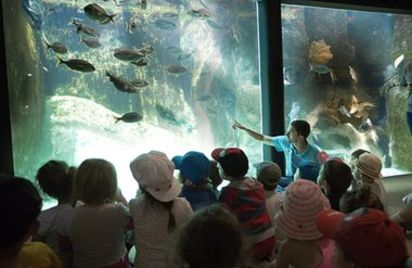 Visite guidée de l'aquarium marin de Trégastel