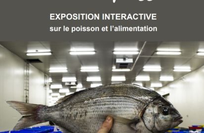 Exposition - Sauvage ! Notre cher poisson
