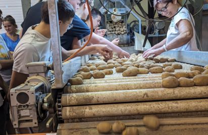 Visite du centre de découverte de la pomme de terre à Ploeuc sur Lié