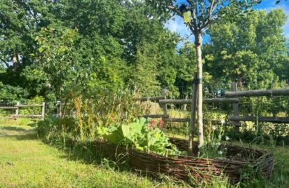 STESF : Visite de la ferme et découverte de l'osier