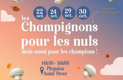 Sortie champignons