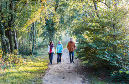 Circuit des voies romaines - Bois d'Avaugour