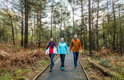 Circuit des étangs en forêt d'Avaugour