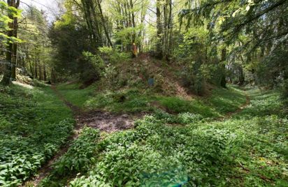 Le Beffou, une résidence de chasse des comtes de Penthièvre au 12e siècle