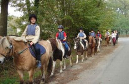 Balades équestres accompagnées en forêt de Loudéac
