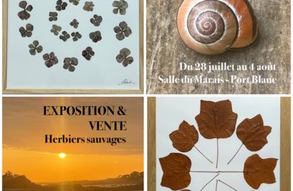 Exposition vente herbiers sauvages