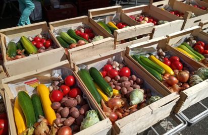 STESF : Visite guidée du Jardin de l'Arguenon