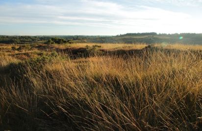 La lande aux 4 saisons - Automne