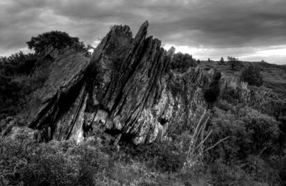 Landes Vivantes : Photographies d'Emmanuel Holder