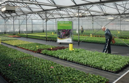 Visite du site de production horticole de la ville de Saint-Brieuc