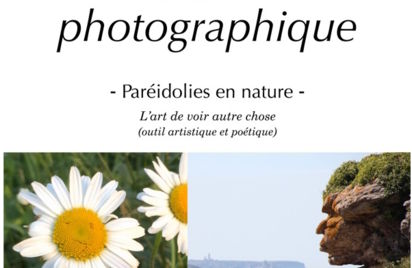 Atelier photographique : Paréidolies en nature - L’art de voir autre chose / outil artistique et poétique