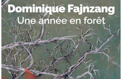 Exposition : Dominique Fajnzang