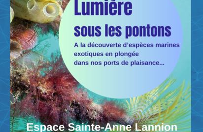 Lumière sous les pontons