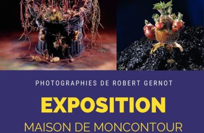 Exposition 