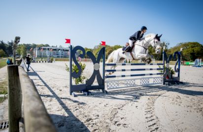 Concours saut d'obstacles jeunes chevaux