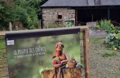 Exposition photo - Le peuple des chênes