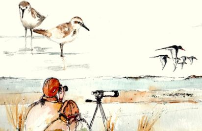 Sortie ornithologique - Les oiseaux hivernants