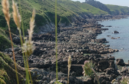 La Nature des falaises - Randonnée