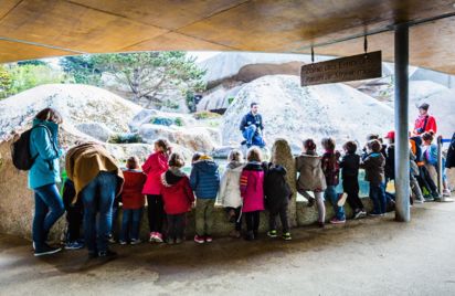 Visite guidée de l'Aquarium Marin - Fête de la Science