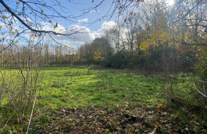 Terrain - 1993 m2 - Caulnes