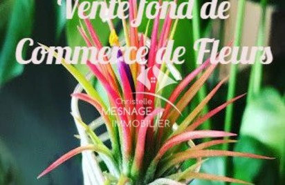 Local commercial - 100.0 m2 - Dinan