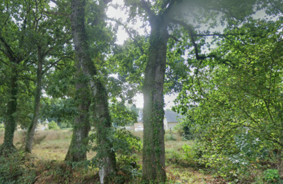 Terrain - 807 m2 - Plelan Le Petit